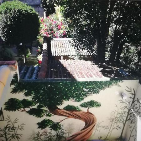 Suite Oisivete Avec Terrasse Vue Sur Patio Et Clim Montpellier Eksteriør billede